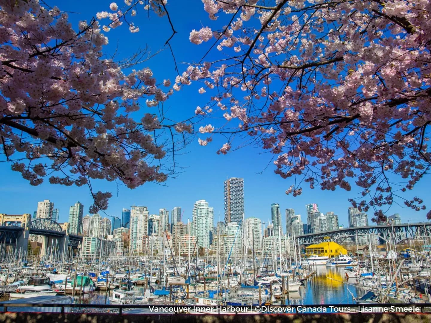 Discover Vancouver City Tour & Lookout Tower 4