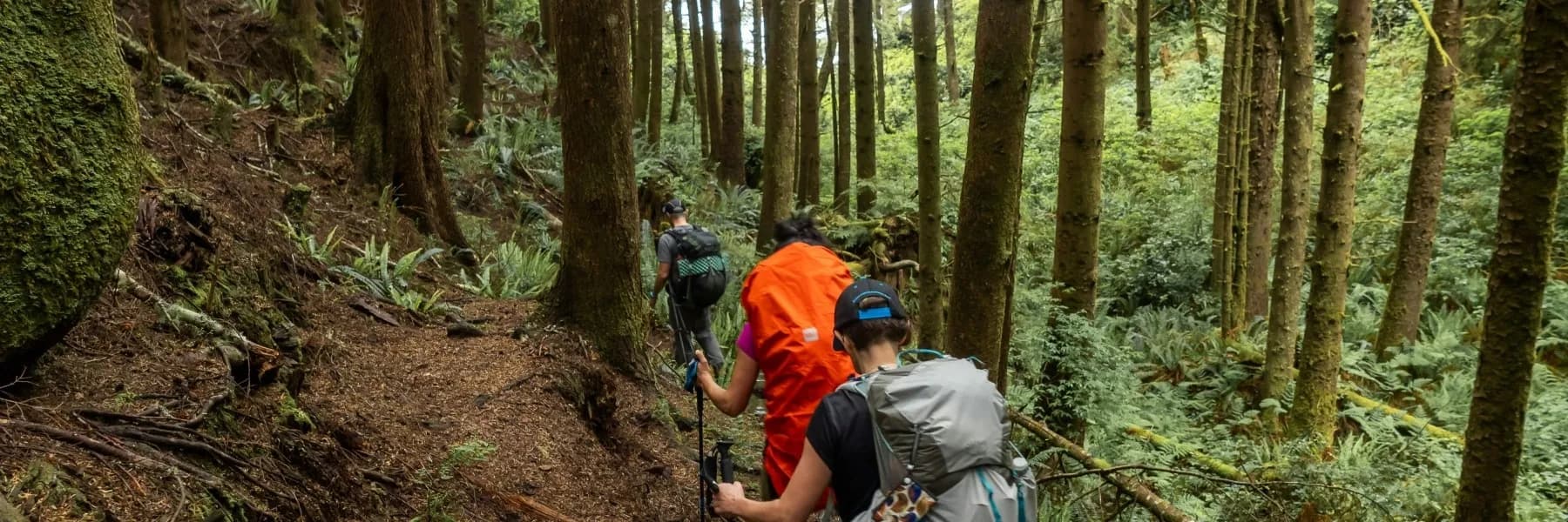 Vancouver Hiking Highlights Tour 1