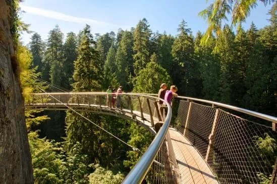 Capilano Suspension Bridge 2