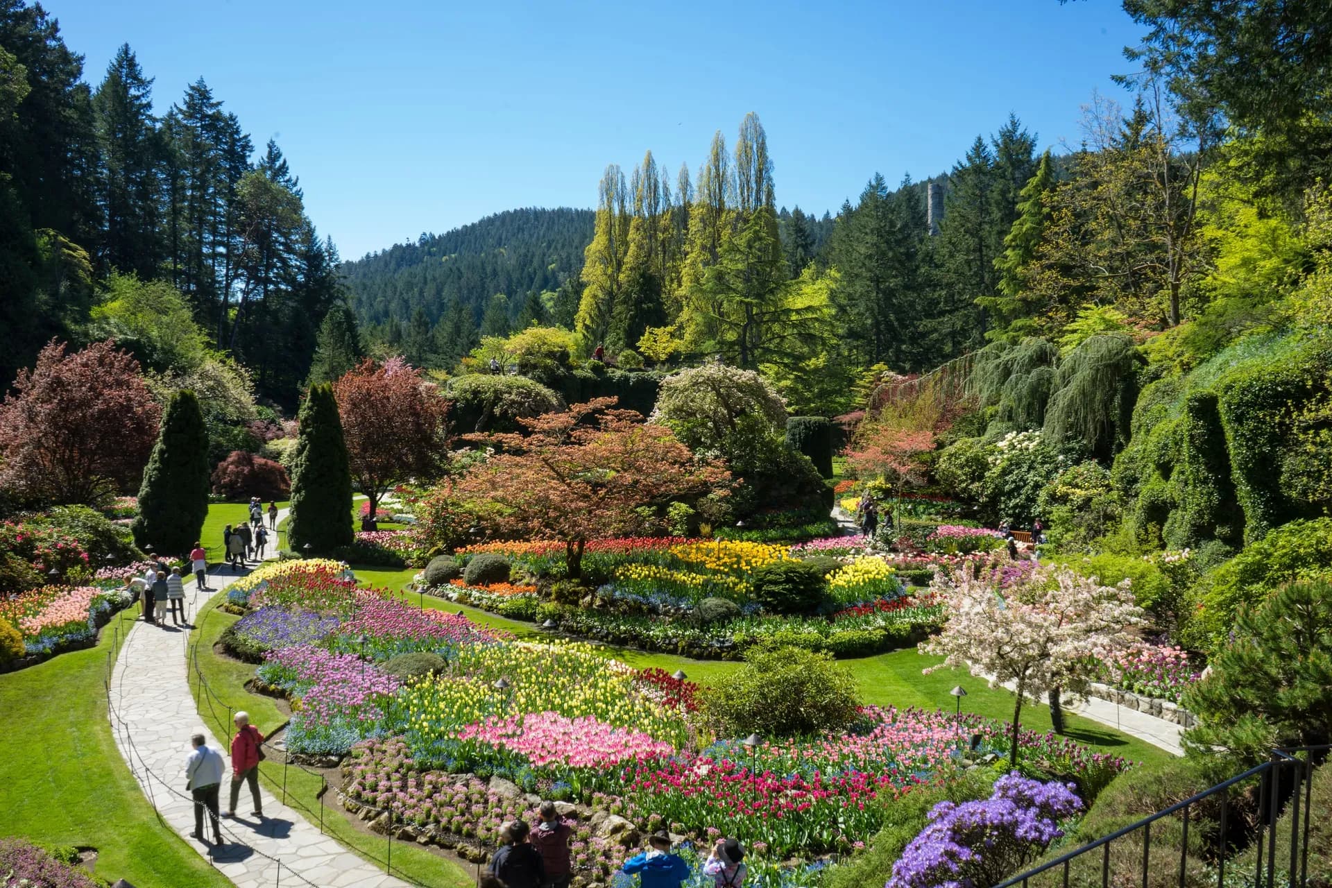 Discover Victoria & Butchart Gardens 1