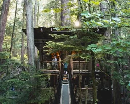 Capilano Suspension Bridge 5