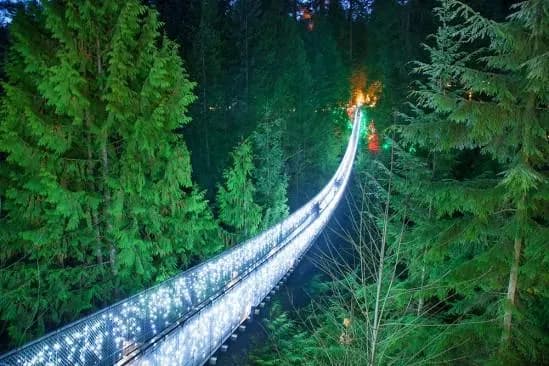 Capilano Suspension Bridge 10