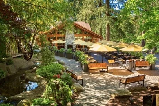 Capilano Suspension Bridge 7