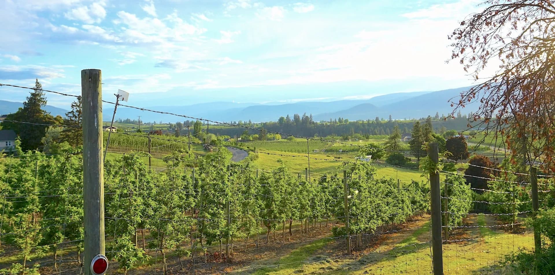 Fraser Valley Wine Tour