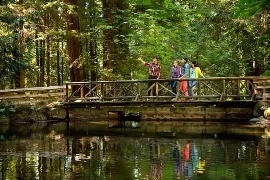 Capilano Suspension Bridge 4