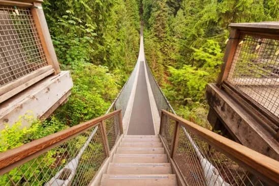 Capilano Suspension Bridge 1