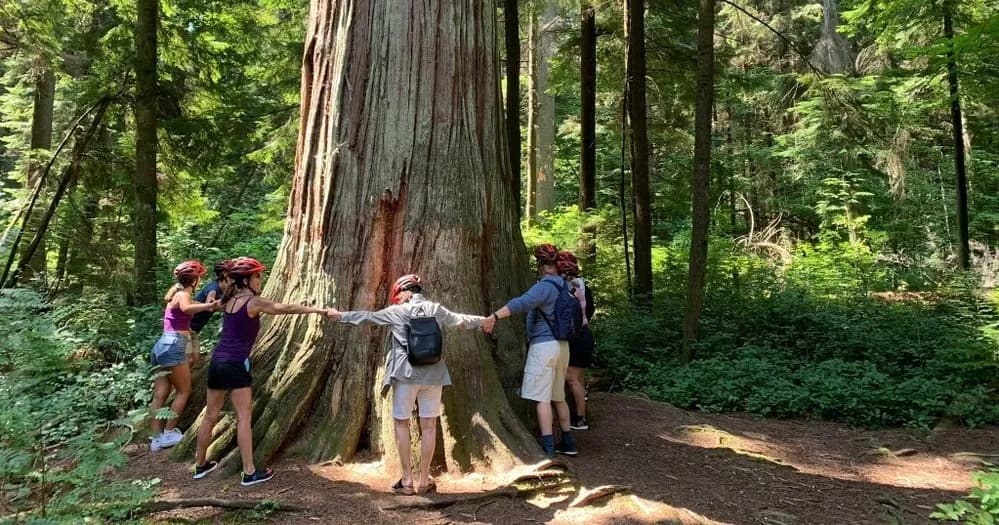 The Stanley Park Bike Tour of Vancouver 1