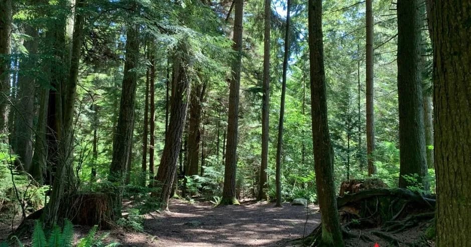 The Stanley Park Bike Tour of Vancouver 2